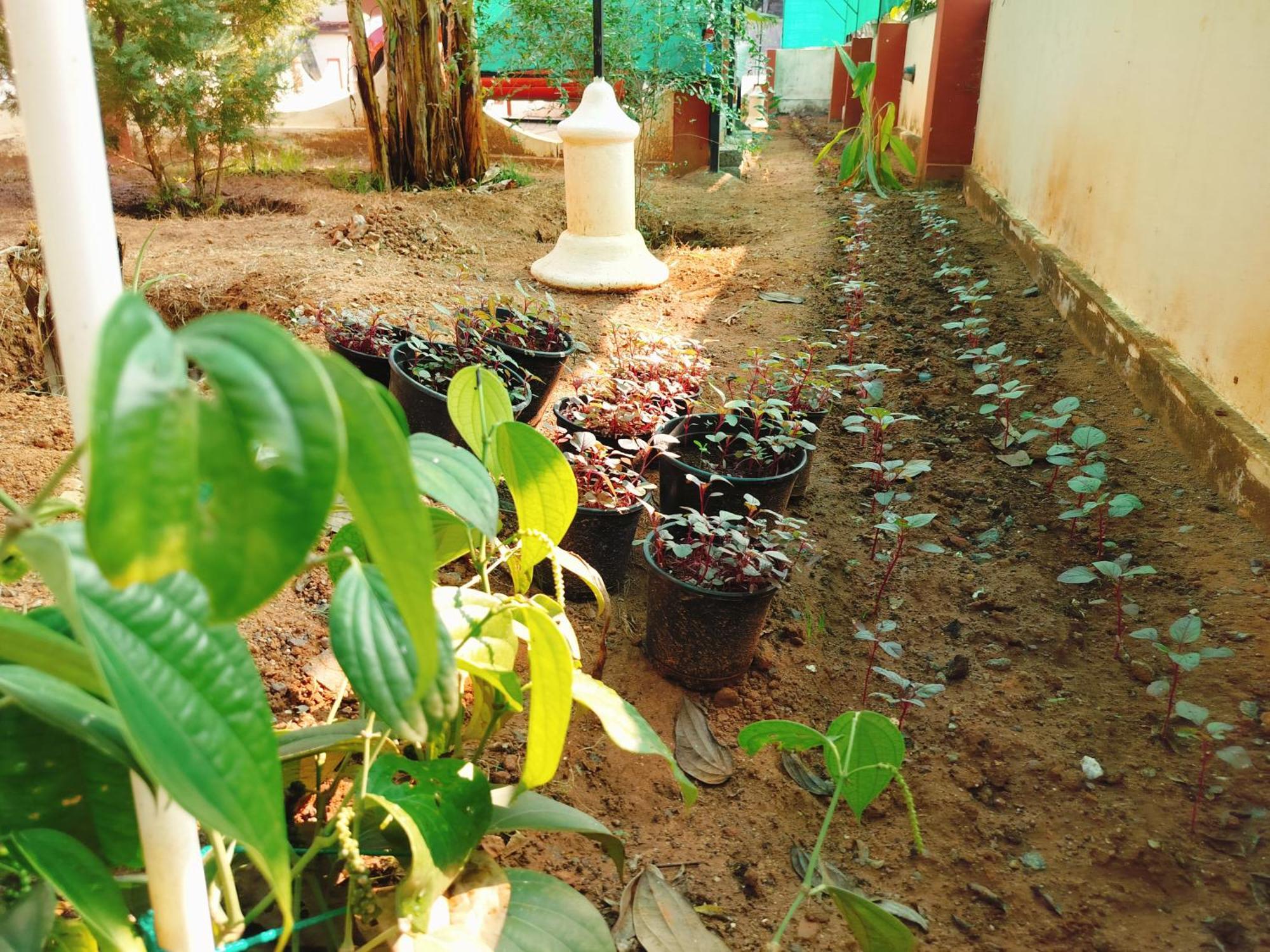 The Ixora - A Boutique Homestay Varkala Bagian luar foto
