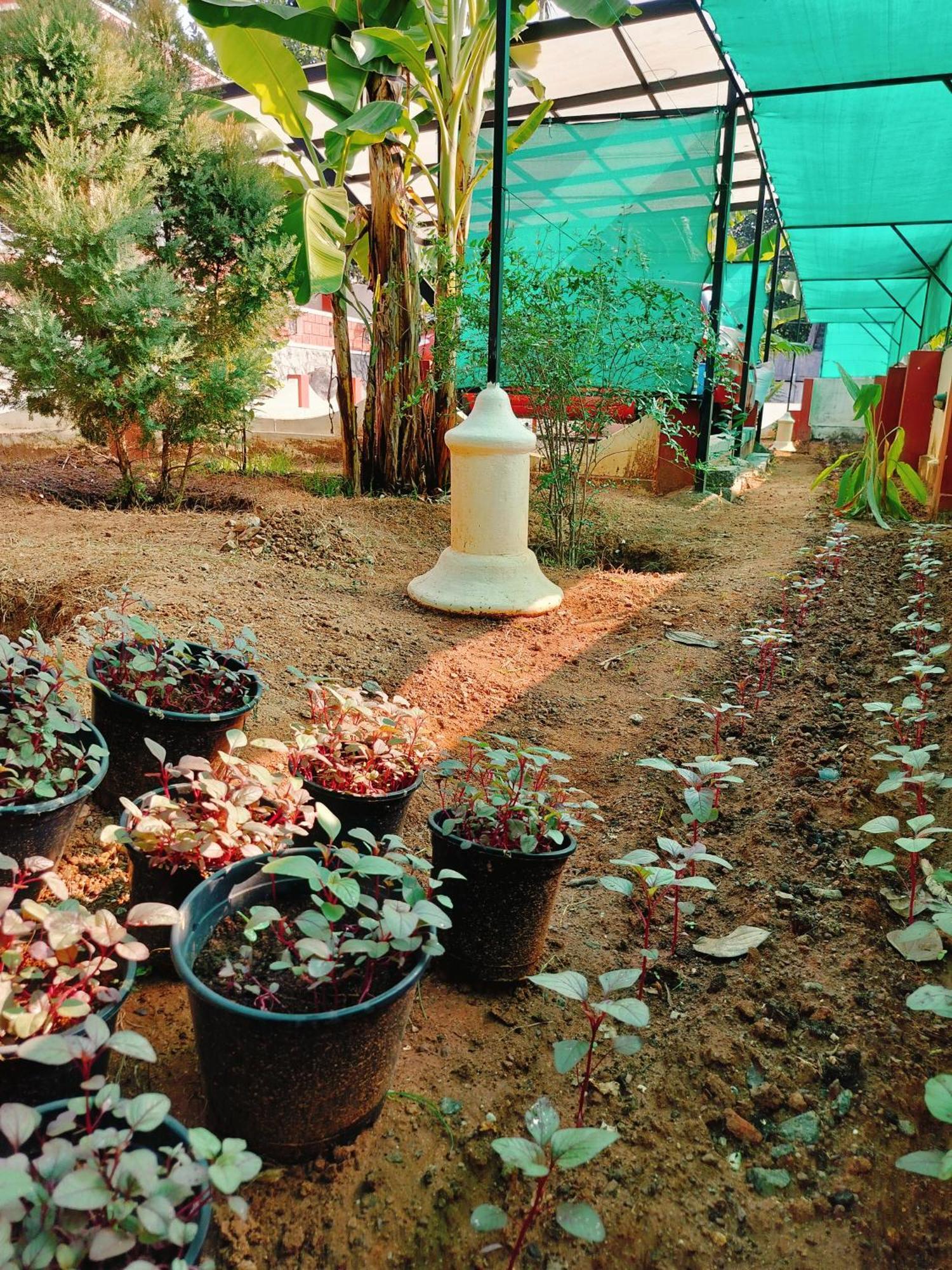 The Ixora - A Boutique Homestay Varkala Bagian luar foto