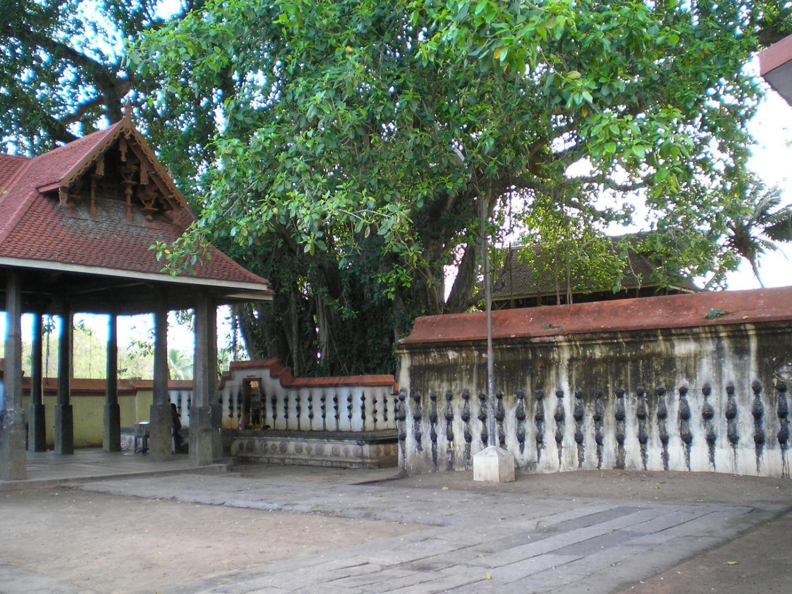 The Ixora - A Boutique Homestay Varkala Bagian luar foto