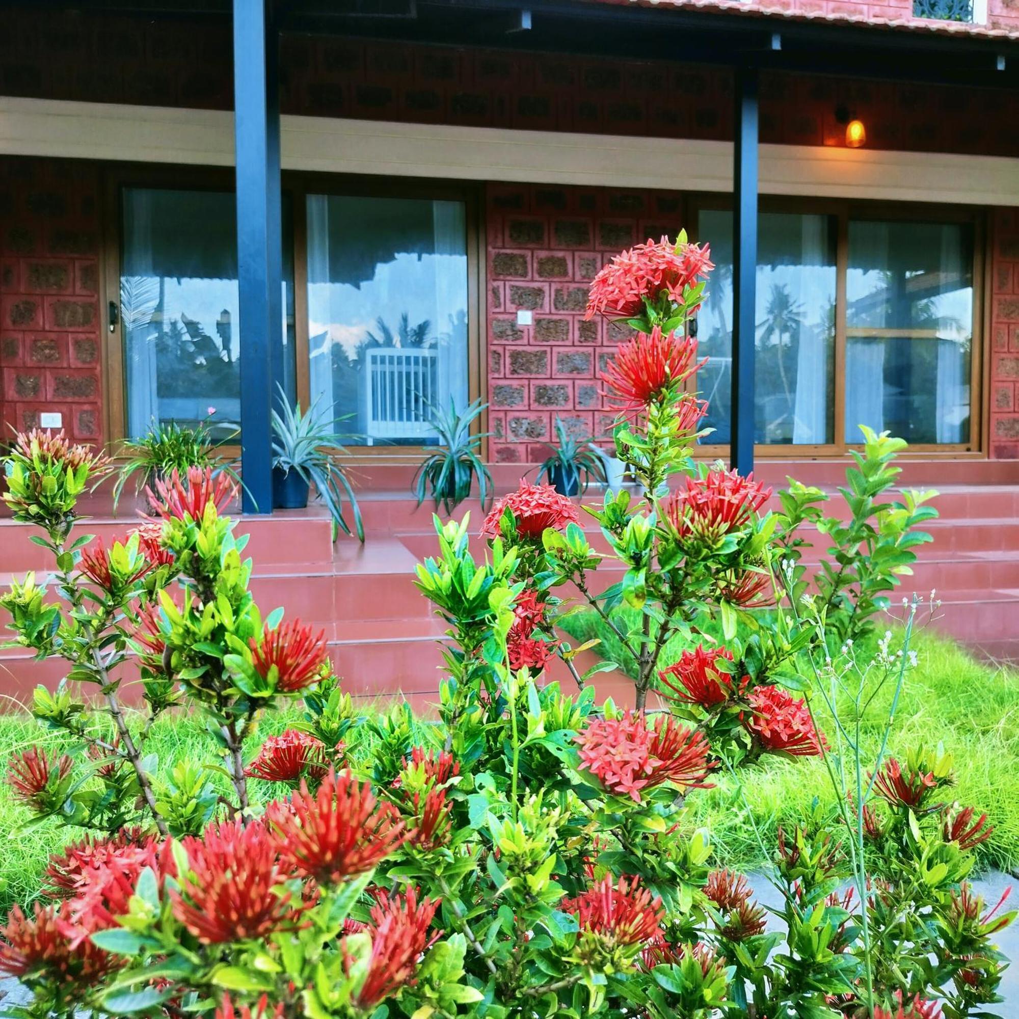 The Ixora - A Boutique Homestay Varkala Bagian luar foto